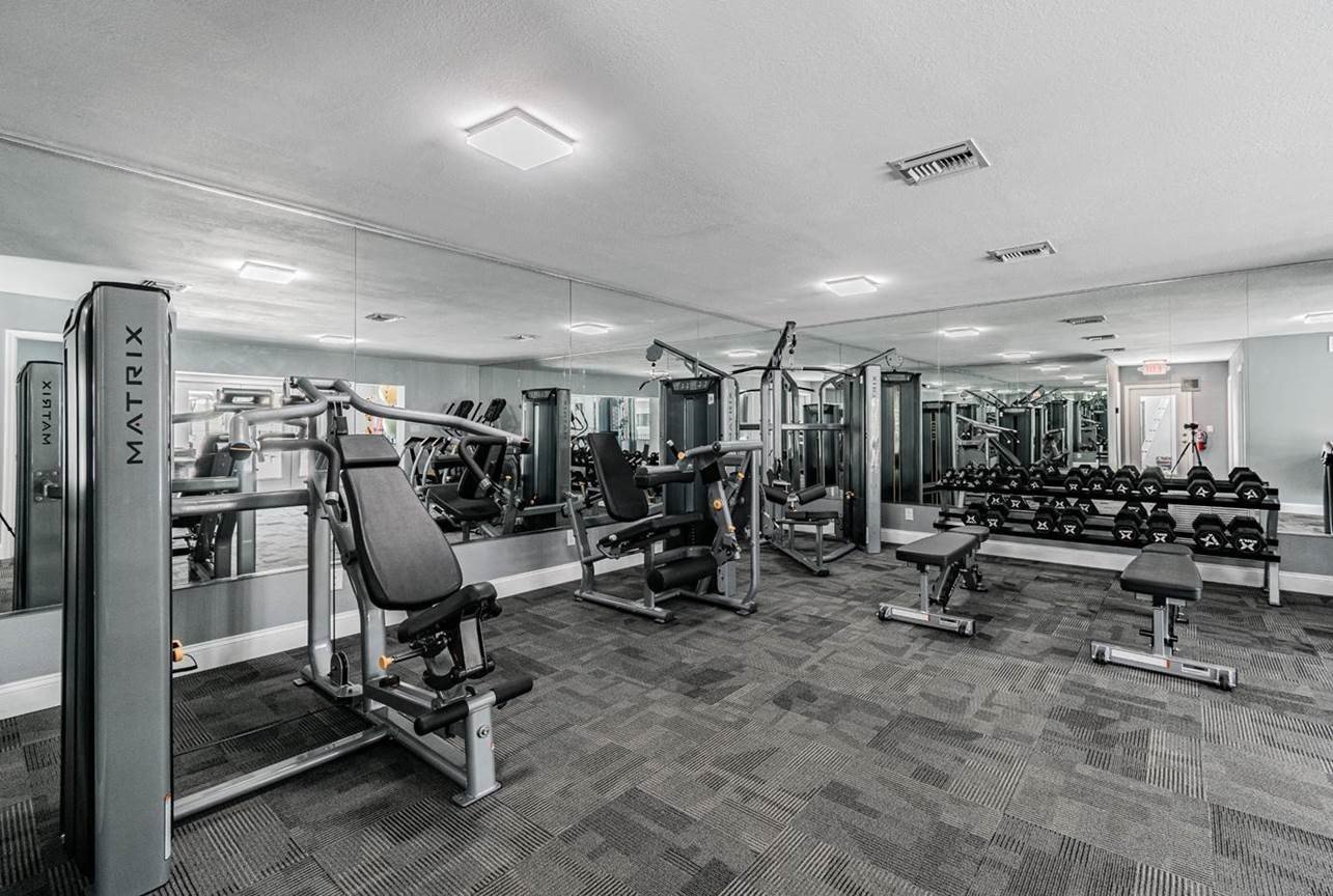 Apartments for Rent South Tampa Lois Landing