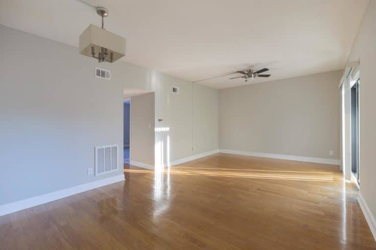 Apartments for Rent South Tampa Lois Landing