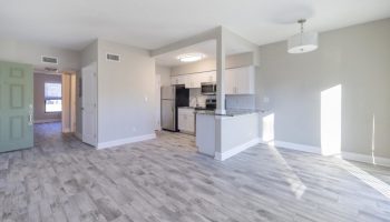 Premium Apartments